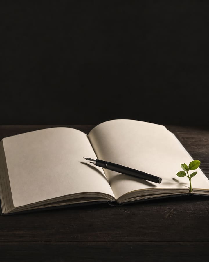 Cuaderno abierto, pluma estilográfica y un brote verde: una imagen sobre escritura, preguntas y esperanza